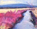 Rosebay Willowherb