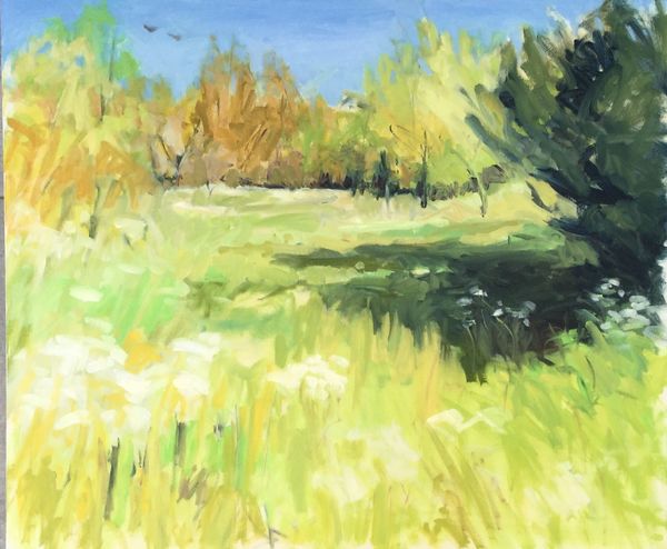 In the Midst of all the Grasses