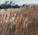 Reed Bed Hugga Mugga