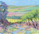 Vineyard Vista
