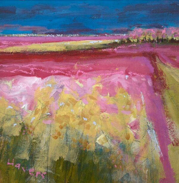 Dark Sky Exuberant Field