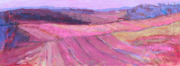 Magenta Afternoon