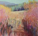 Shrubby Tangle, Hot Day 60x55cms