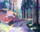 Forest Track Glenbranter Argyll £750
