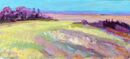 The Long View