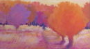 'Wild Garden'. 77x50cms framed