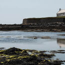 St. Cwyfans Church, Anglesey, North Wales