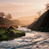 The Winding Barle