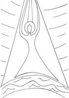 Christian Art Ascension by Sue Kershaw