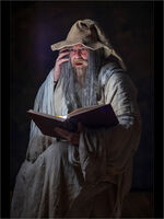 1st Place PDI Gandalf by Will Blake