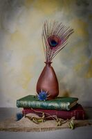 1st Place Prints - Peacock Feather in Vase by Phil Halliwell