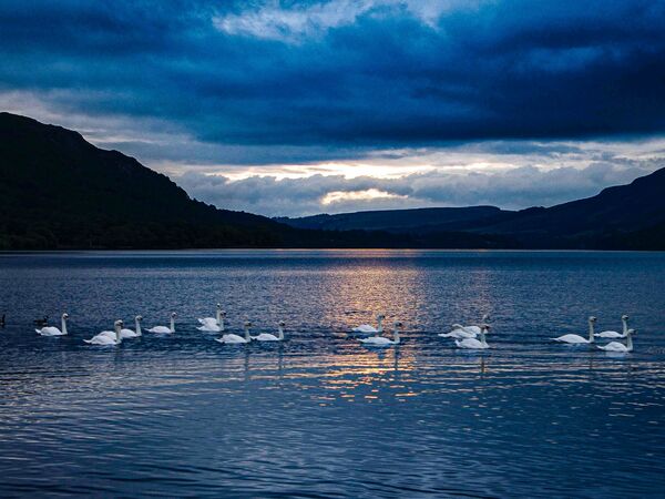 3rd Place Prints Act One by Steve Calderbank