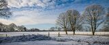 3rd Place Prints Winter Farm by Mal Shearer