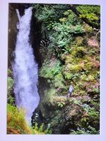 Joint 2nd Place Prints Near the edge by David Wright