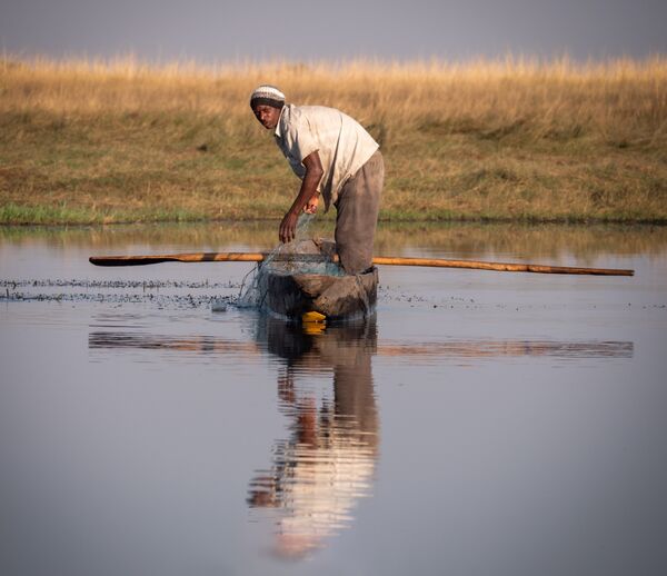 Setting Nets On The Chobe