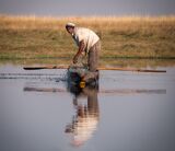 Setting Nets On The Chobe