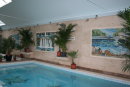 Commission mosaic panels and pool floor mosaics