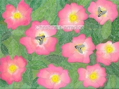 Bees and wild roses