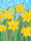 Daffodils