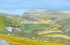 Ingleborough from Crina Bottom, near Ingleton