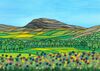 Clear Spring skies over Pen-y-Ghent. The frame is black and the mount is antique white. Picture size is 16" x 12" (41cm x 31cm) and the outside edge of the frame is 32" x 18" (56cm x 45cm). £295.00. Available from 128-degrees gallery in Settle.