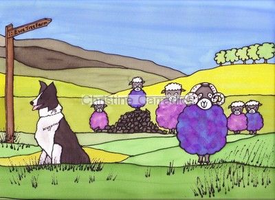 'Behind Ewe!'