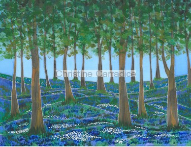 Bluebell Woods at Cleatop, near Settle. Picture size 16" x 12" (approx).