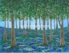 Bluebell Woods at Cleatop, near Settle. Picture size 16" x 12" (approx).