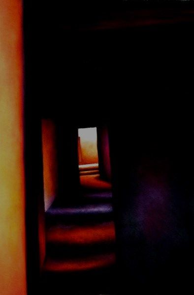 Pastel Society Annual Exhibition 2019