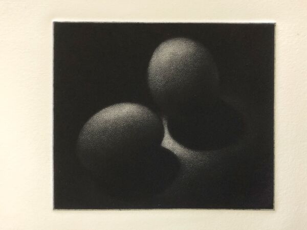 The Northern Line Exhibition