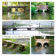 A Bridge on the River Ebble (1)