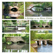 A Bridge on the River Ebble (2)