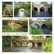 A Bridge on the River Nadder