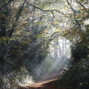 Footpath at Corton