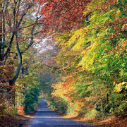 Bishopstone Road, Wilton