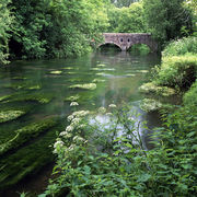 The River Wylye, Boyton Bridge