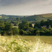 Barley fields, Brixton Deverill