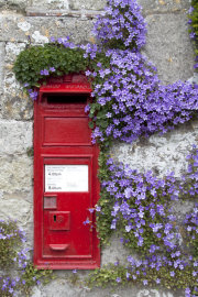 Post Box and Aubretia