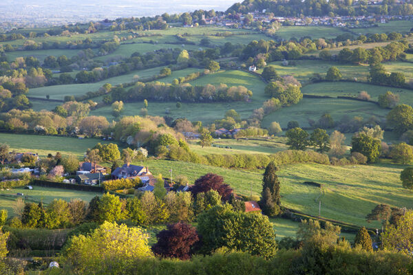 Shaftesbury