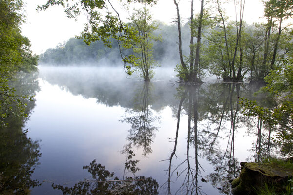 Fonthill Lake