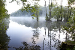 Fonthill Lake