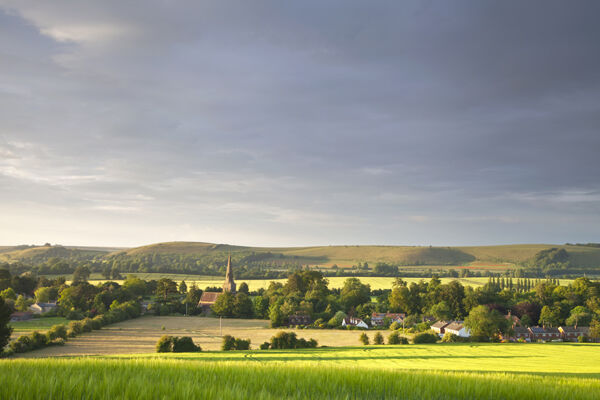 Evening sunlight, Sutton Veny