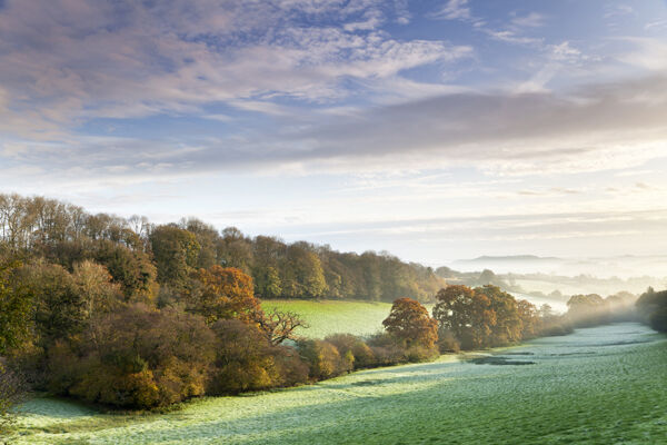 Autumn at Newtown