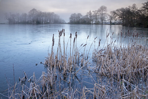 The Lake at Wardour Castle