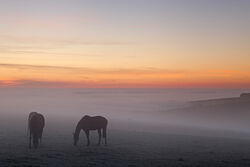 Wylye sunrise