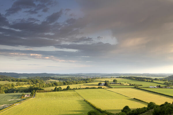 Ansty