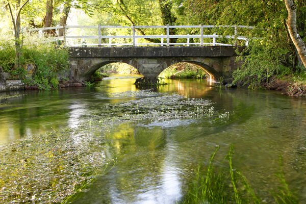 The River Ebble