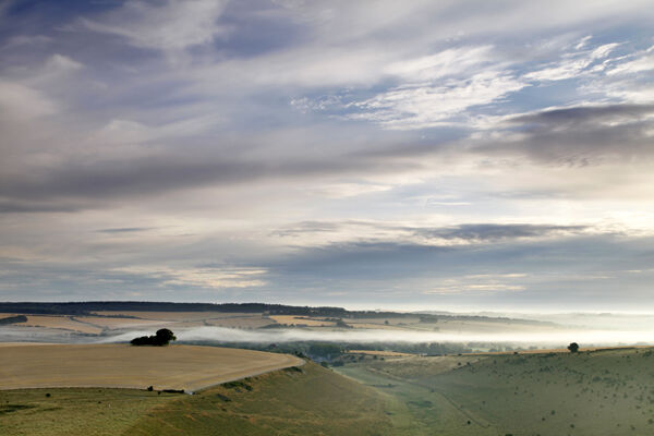 Clearing mist, Burcombe