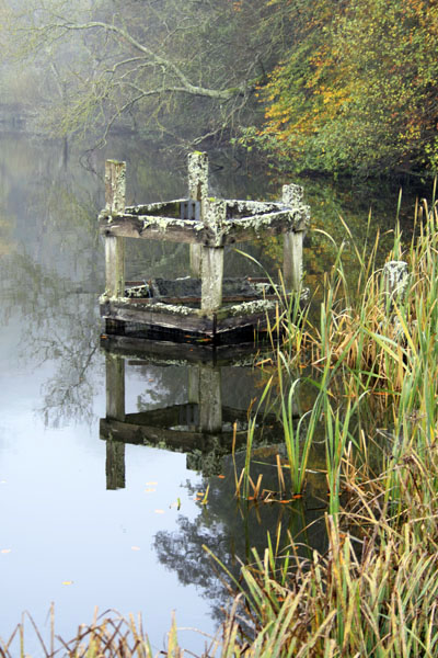 Still Waters, Fonthill