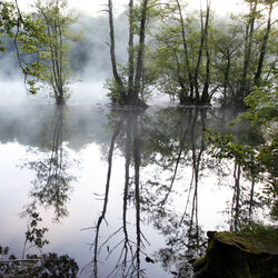 Fonthill Lake